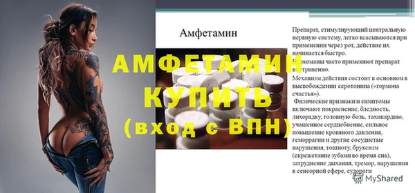 прущие грибы Инсар