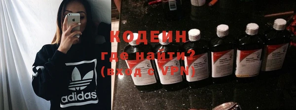 прущие грибы Инсар