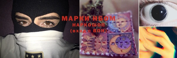 прущие грибы Инсар