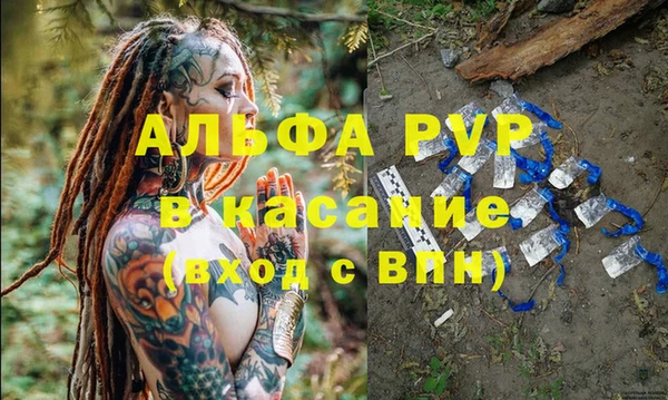 прущие грибы Инсар