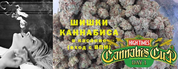 прущие грибы Инсар