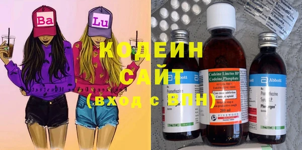 прущие грибы Инсар