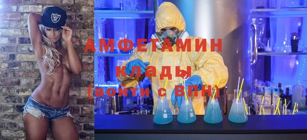 прущие грибы Инсар