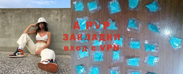 прущие грибы Инсар