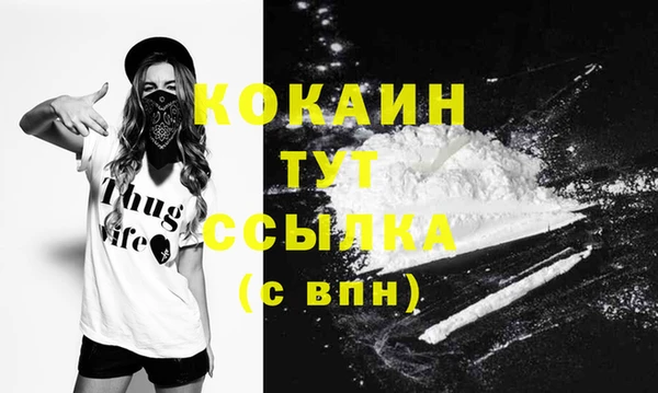 гидропоника Инта