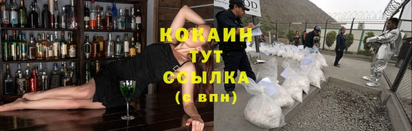 гидропоника Инта