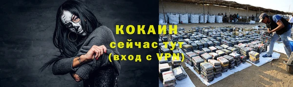 гидропоника Инта