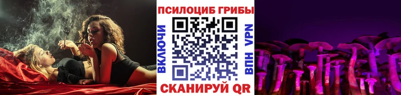 Купить где  Олёкминск  Галлюциногенные грибы Psilocybine cubensis 