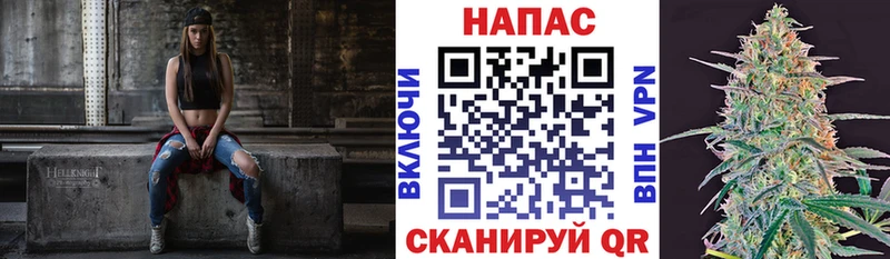Купить закладки  Олёкминск  Бошки марихуана сатива 